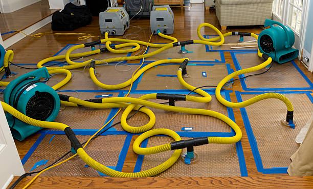 Professional Sewage Cleanup technician working in Arlington, MA